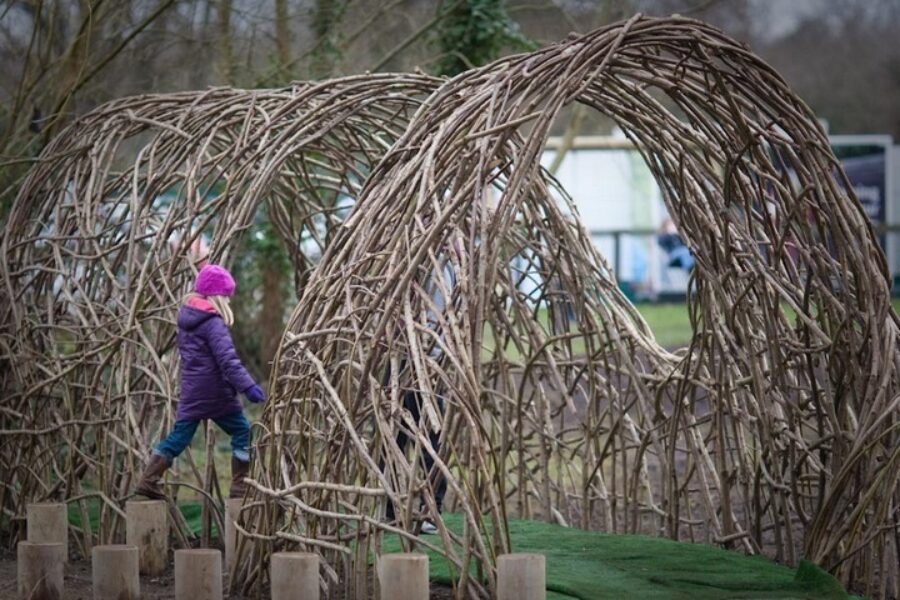 Willow coppice play area Tim Johnson