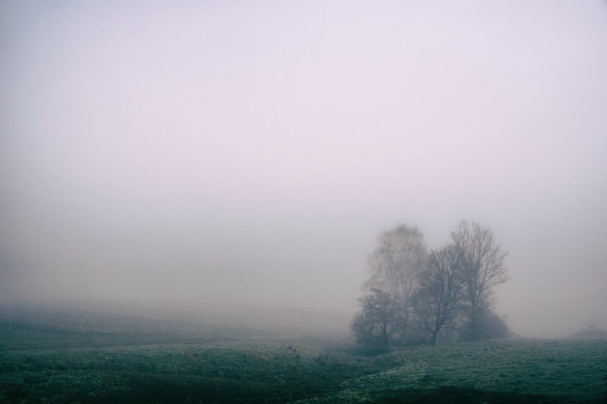 Nicolai-durbaum-22302-unsplash