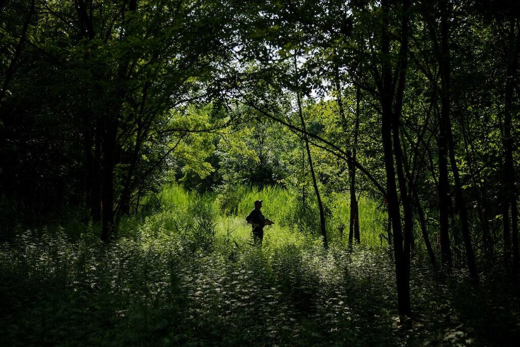 Wbl at fresh kills credit by damon winter