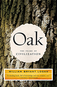 Oak